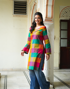Dayita - Multicolour Checks Handloom Cotton Kurta with Portrait Collar